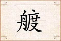 艔怎么写