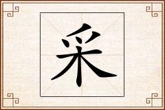 采怎么写