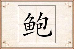 鲍怎么写