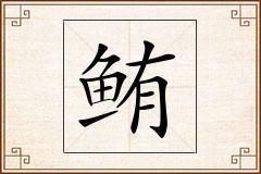 鲔怎么写