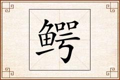 鳄怎么写