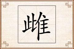 雌怎么写