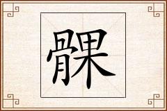 髁怎么写