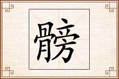髈怎么写