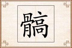 髇怎么写