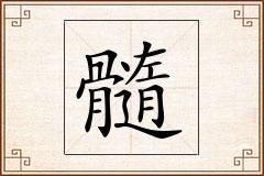 髓怎么写