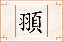 頨怎么写