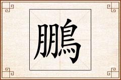 鵬怎么写