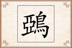 鵶怎么写