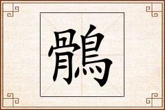 鶻怎么写