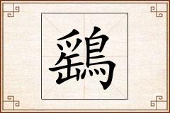鷂怎么写