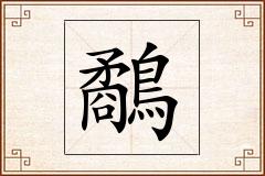 鷸怎么写
