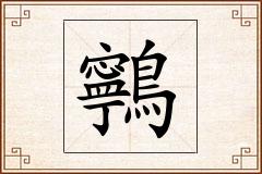 鸋怎么写