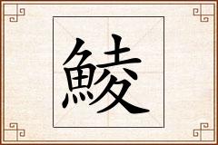 鯪怎么写