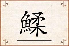 鰇怎么写