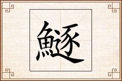 鱁怎么写