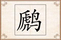 怎么写