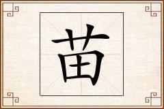 苗怎么写