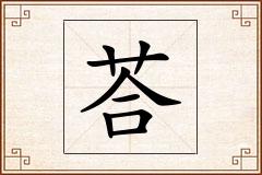 荅怎么写