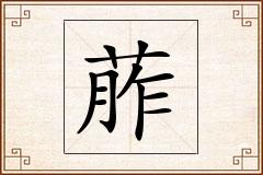 葄怎么写