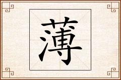 薄怎么写