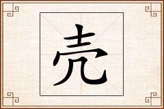 壳怎么写