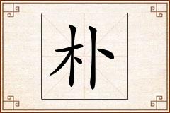 朴怎么写