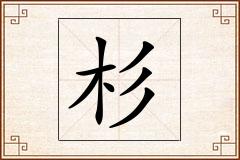 杉怎么写