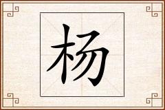 杨怎么写