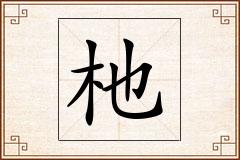 杝怎么写